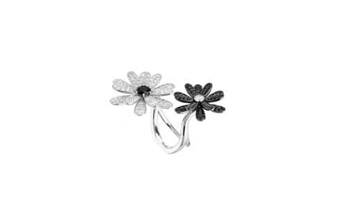 Serviços Fotografia - Fotografia de produto