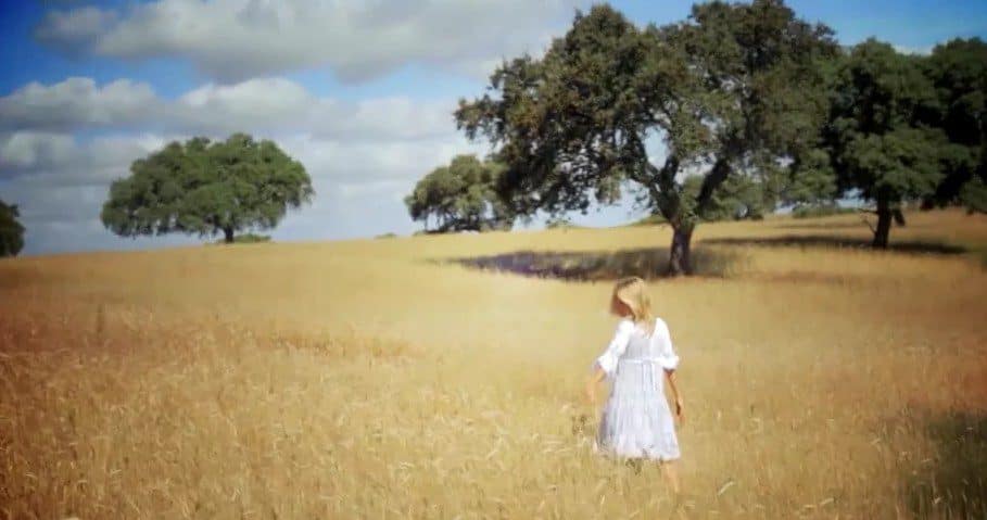 Institucionals Showreel