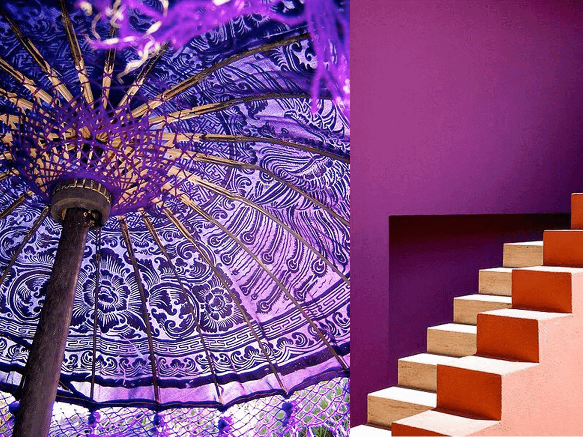 Design Colors Purple